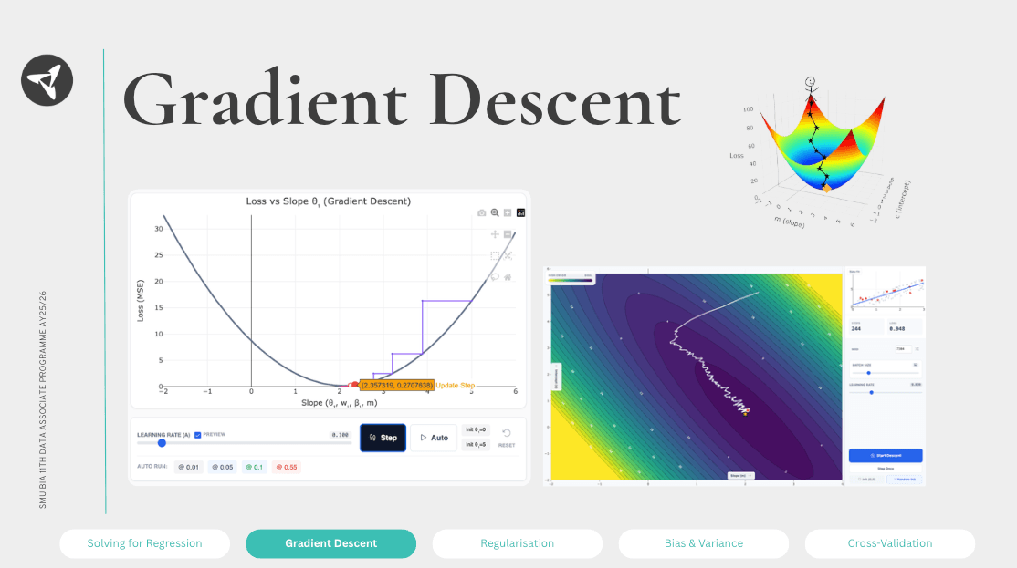 DAP Co-Learning - Regression Workshop